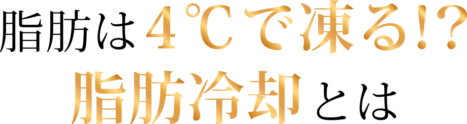 脂肪は4℃で凍る!?脂肪冷却とは