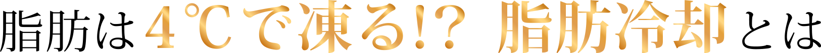 脂肪は4℃で凍る!?脂肪冷却とは